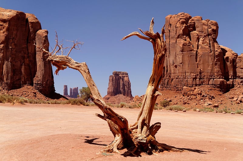 Wild West Escapades